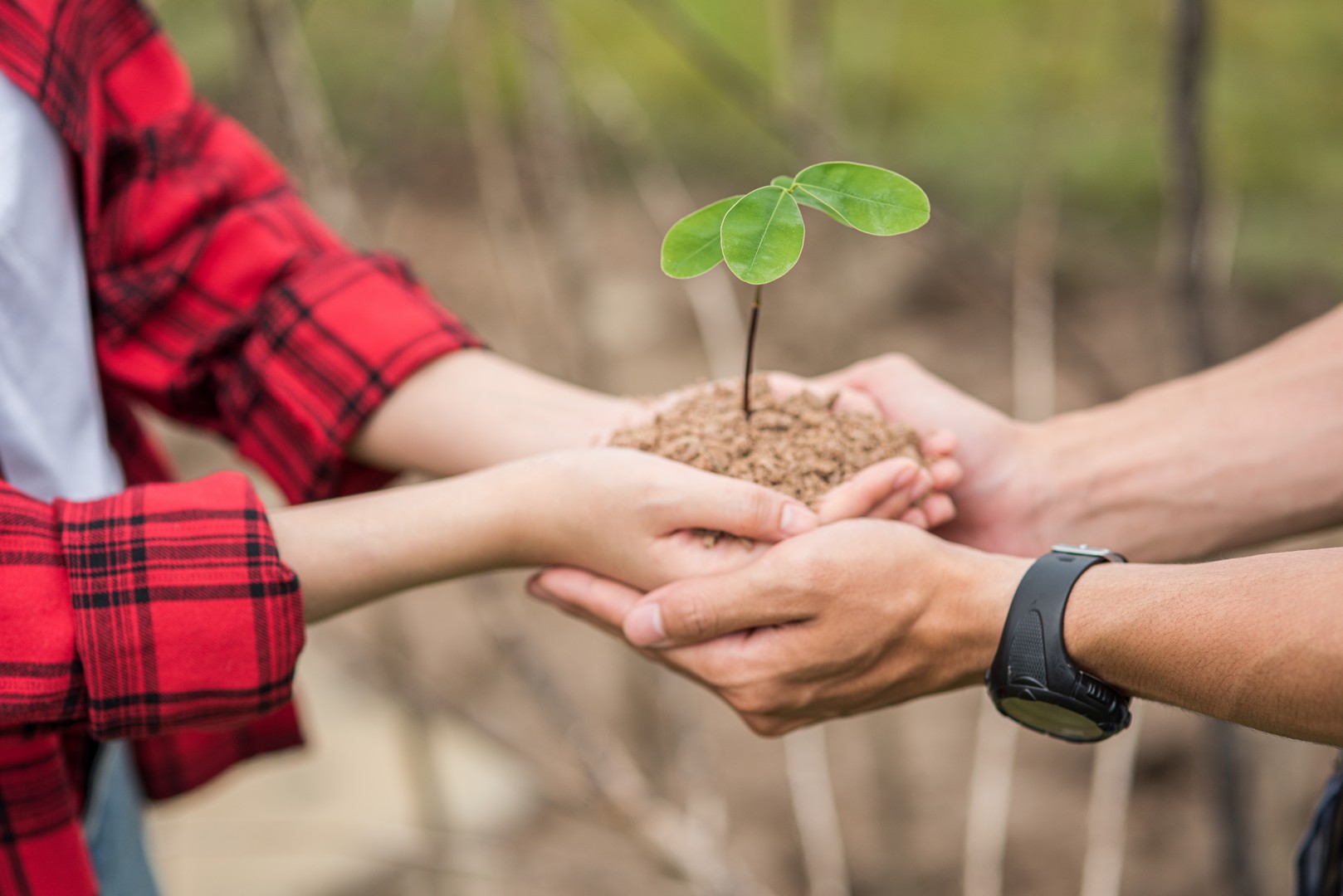 Men and women standing and holding saplings.